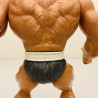 copy of SKELETOR Masters of the Universe Action Figure